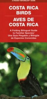 Costa Rica Birds   Aves de Costa Rica Online Hot Sale