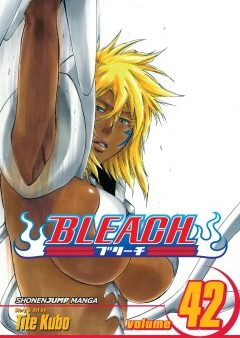 Bleach Vol 42 Hot on Sale