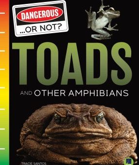 Toads and Other Amphibians Sale