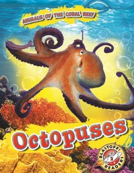 Octopuses Online